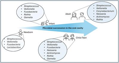 Probiotics for oral health: a critical evaluation of bacterial strains